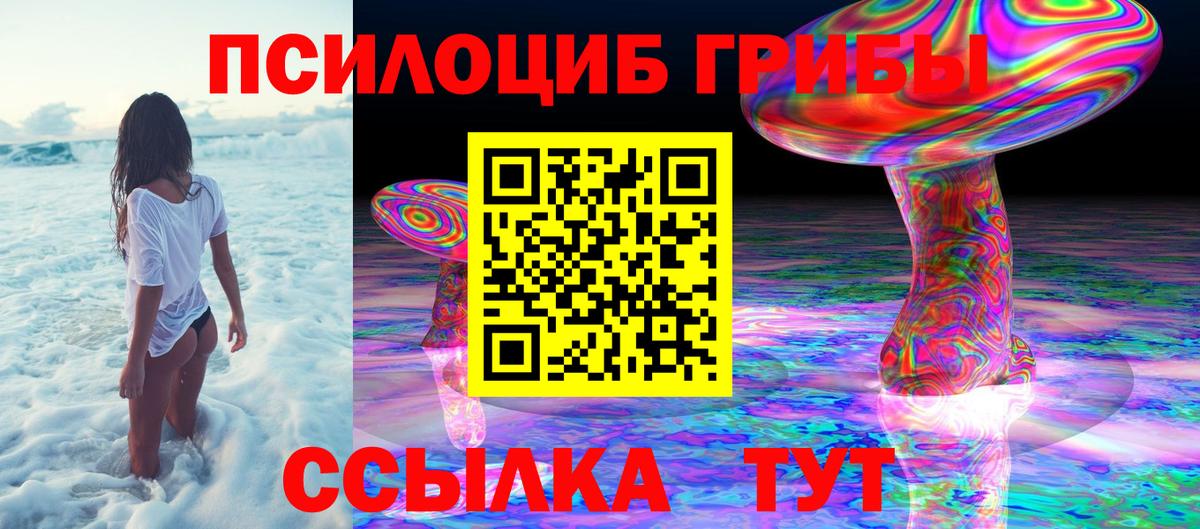 Отрадное  Галлюциногенные грибы GOLDEN TEACHER  Вход с VPN 