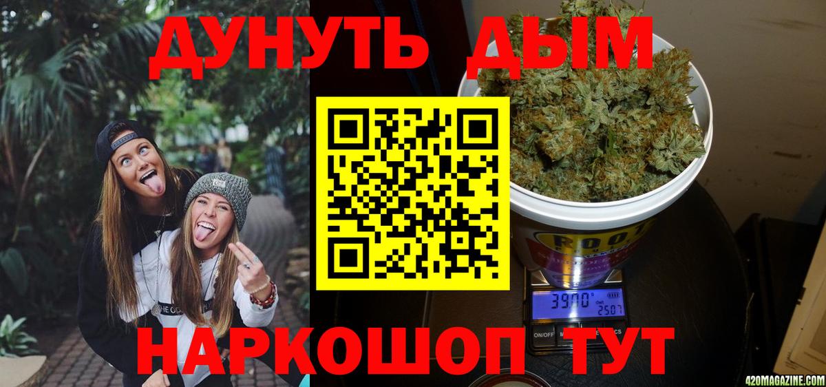 Каннабис конопля Отрадное